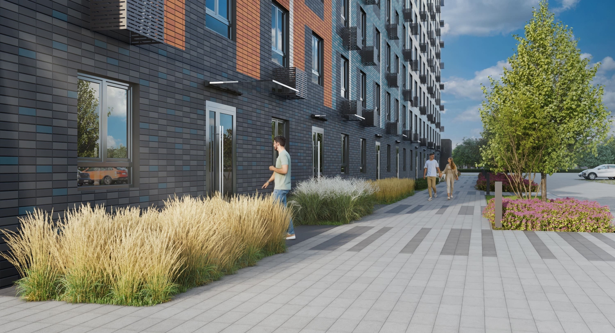 Пейзажи двора