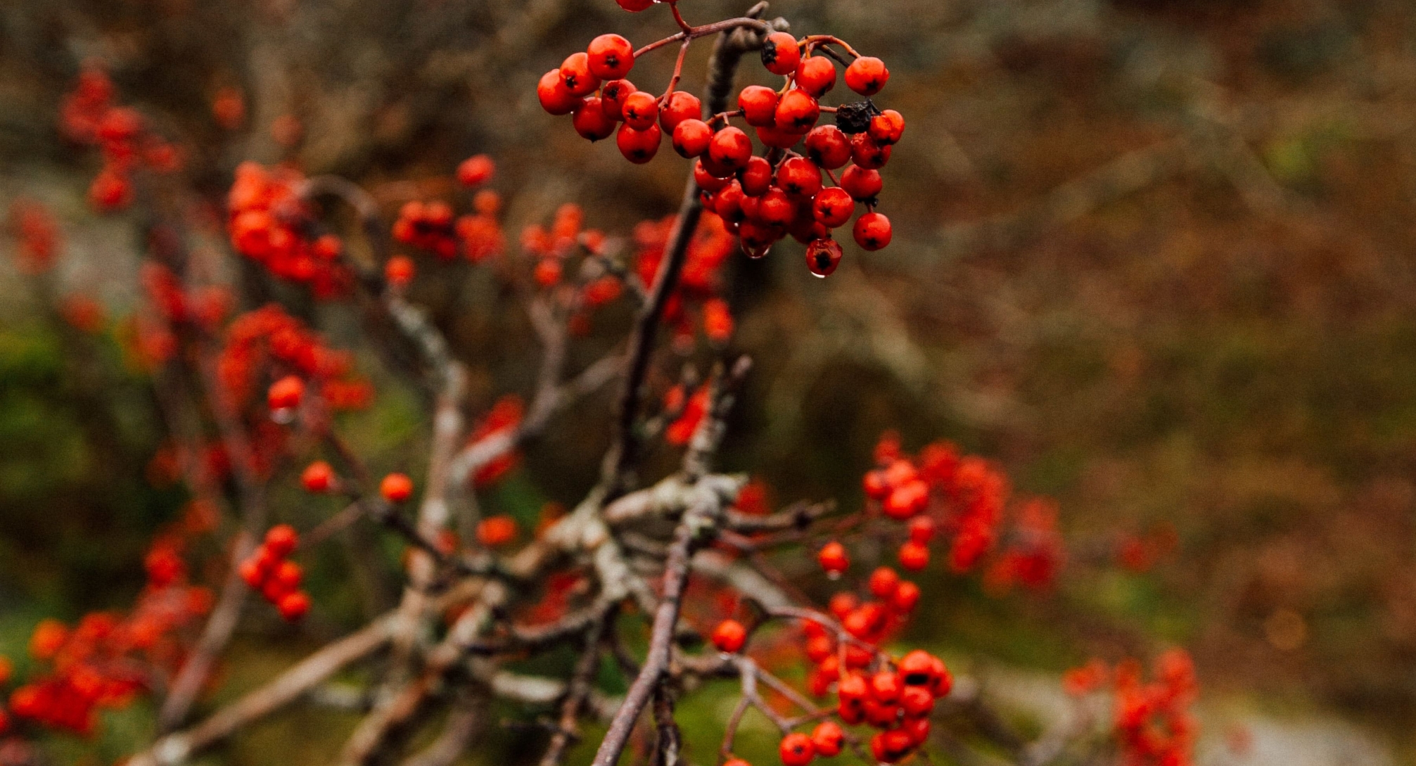 Философия традиций